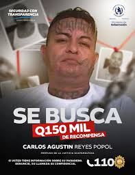 Eri q'atb'altzij rech ri Subdirección General rech Análisis rech  Información Antinarcótica (SGAIA) rech ri Wokajil Ajchajil Tinamit ri' eri  Nestlè Purina, xusipaj loq 1 mil 212 chi tzuqb'al ub'i' Pro Plan rech