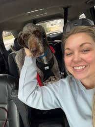 Toast has landed himself a new foster home! He was so glad to get to go  with his new foster mom instead of going back into boarding! 🐾