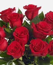 Mazzo di rose rosse tbnid ejllhqgzstzwym vet 1 docid h7mpiaxdtc2 pictures. Buon Compleanno Mazzo Di Rose Rosse