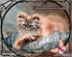 Have a nice weekend {interj.} similar translations similar translations for miłego weekendu in english. Udanego Weekendu Picmix