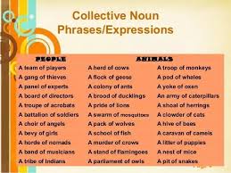 Collective Noun Phrases Expressions Nombres Colectivos Aprender Ingles Vocabulario En Ingles