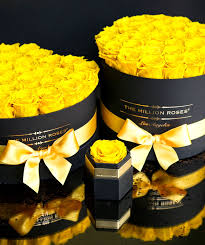 Check spelling or type a new query. Mellow Yellow Themillionroses Timeless Yellowroses Art Classic Flower Inspiration Floral Flowerbox Million Roses Rose Fresh Flowers Arrangements