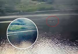 Loch Ness Monster: Is this Nessie? Fresh sighting of the elusive water  horse made on popular Visit Inverness Loch Ness webcam
