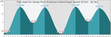 Sandy Point Anderson Island Puget Sound Tide Times Tides