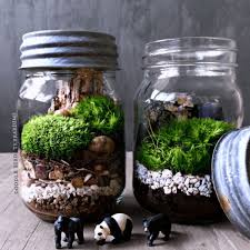 Mason Jar Terrarium From Apollo Box Mason Jar Terrarium Terrarium Jar Terrarium