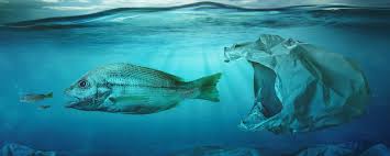 Your first and foremost step should be to save water. Causes And Effects Of Water Pollution
