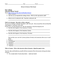 Cell division worksheet answer key. Mitosis Meiosis Web Quest