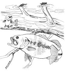 Use these images to quickly print coloring pages. Https Www Fws Gov Natchitoches Images Coloring 20pages Fish Coloring Pages Pdf