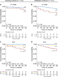 Cyprus achieved their best result in their eurovision history. Spatial Immune Profiling Of The Colorectal Tumor Microenvironment Predicts Good Outcome In Stage Ii Patients Npj Digital Medicine