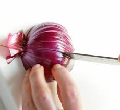 Almost every wet food will become infected with pathogenic bacteria or mold if you leave it long enough. Onion Bbc Good Food
