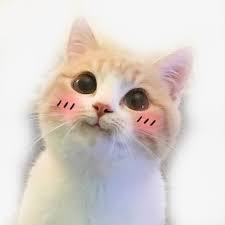 Check spelling or type a new query. à¸„à¸§à¸²à¸¡à¸™ à¸²à¸£ à¸à¸‚à¸­à¸‡à¸™ à¸­à¸‡à¹à¸¡à¸§ à¸« à¸­à¸‡à¹à¸« à¸‡à¸„à¸§à¸²à¸¡à¸£ à¸