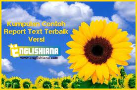 Kalimat ini berasal dari sumber eksternal dan mungkin tidak akurat. Contoh Report Text Tumbuhan Dan Hewan Pendek Dalam Bahasa Inggris Dan Artinya Englishiana