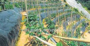 Langkah mengajukan gugatan cerai ke pengadilan. Anim Agro Technology Mengawal Hakisan Tanah