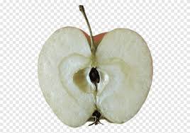 Gambar pemulung gambar sketsa benda mozaik kehidupan praktikum via rebanas.com. Gudang Email Apple 3d Apel Makanan Buah Png Pngegg