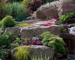 Page Not Found Alpine Plants Rock Garden Design Garden Architecture