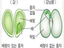 주의) 신고 내용에 욕설,폭언 등 불필요한 글을 쓰시면 님이 강등됩니다. Ppt ì¤' 3 ê³¼í•™ 8 ë‹¨ì› ìƒì‹ê³¼ ë°œìƒ Powerpoint Presentation Id 5591770