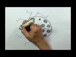 Pengertian pola bilangan persegi panjang adalah suatu barisan bilangan yang membentuk pola persegi panjang. Menggambar Kumbang Kepik Belajar Cara Menggambar Binatang Darat Youtube