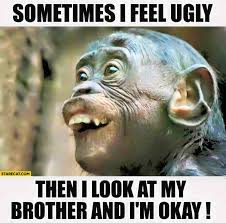 The monkey shakes his head in a condemning manner and starts dancing around; 25 Funny Monkey Memes You Ll Totally Fall In Love With Sayingimages Com