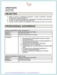 Mba resume format for freshers. Mba Finance Cv Samples