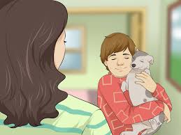 Why did my parents say no to a dog? 3 Ways To Convince Your Parents To Let You Keep Your Dog Wikihow