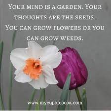 Pin On Quotes