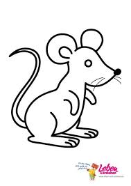 Warum sollte man sich mindestens zwei meerschweinchen anschaffen? Ausmalbild Meerschweinchen Download 1978 2560 Ausmalbilder Tiere Einfach Kinder 37arts Net