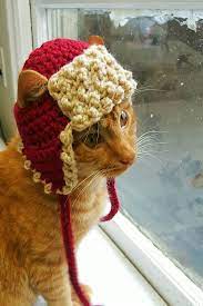 Trapper Hat For Cats Winter Cat Hat Trapper Hat For Cats And Dogs Hats For Cats Crochet Cat Hat Hat For Cat