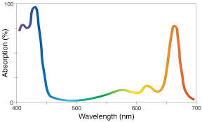 Chlorophyll is an essential component of photosynthesis, which helps plants get energy from light. Nasa Giss Research Features The Full Palette Of Photosynthesis