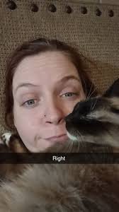 Does anyone else's Siamese cat just gets really lovey out of no where an  then won't let you do anything 🤣 Miss Athena Mae is all about me an has  been since