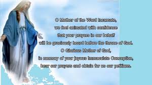 Feast of saint andrew 🙏. Novena To The Immaculate Conception Day 8 Youtube