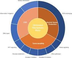 If you&#x27;re counting your calories and tracking your carbs on a regular basis, you will. Frontiers Metabolic Rewiring In Radiation Oncology Toward Improving The Therapeutic Ratio Oncology