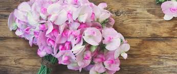 You can choose from the red roses. April Birth Flower What Is Your Birth Flower