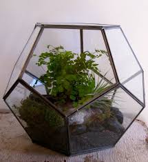 Faceted Lynzarium Terrarium Decor Gloucester Massachusetts