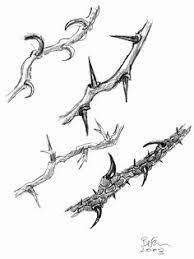 Jul 21, 2017 · most vines with thorns use the thorns to climb structures. 25 Thorns Ideas Thorns Rose Thorns Thorn