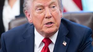 More from Trending News