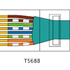 Here is my understanding of ip cameras and cat5: 1