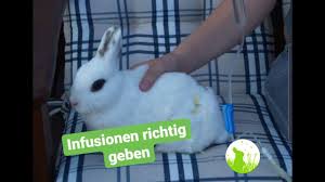 Blasengriess Und Blasensteine
