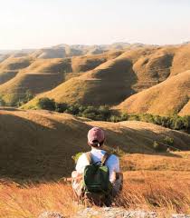 Destinasi Wisata Paling Keren di Sumba yang Wajib Dikunjungi - Uprint.id