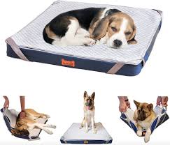 Check spelling or type a new query. 29 Amazon Pet Products That Are Inexpensive Solutions