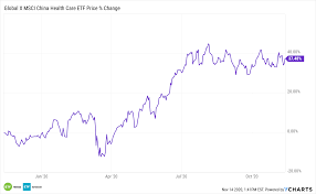 The fund will take equity exposure to companies which are. An Etf To Get In On Chinese Healthcare S Banner Year Etf Trends