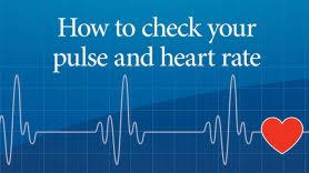 How To Get Your Heart Rate Up Md Anderson Cancer Center