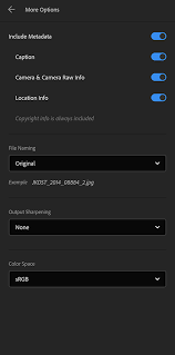 When the user after editing goes to export under file menu. Learn How To Save Share And Export Photos With Lightroom For Mobile Android