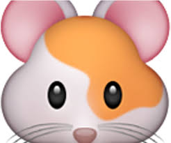Scroll down below to explore more related hamster, png. Download Hd Hamster Clipart Face Emoji Hamster Transparent Png Image Nicepng Com