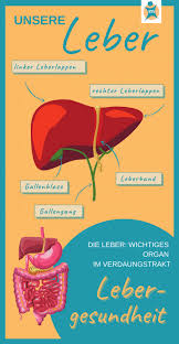 Lebensmittel ohne zucker sind in den letzten jahren deutlich beliebter geworden. Leber Entgiften So Starken Sie Ihre Leber