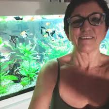 La renda bàsica universal: RBU