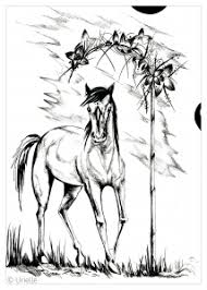 38+ coloring pages for adults horses for printing and coloring. Horses Coloring Pages For Adults