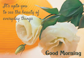 Good Morning Wishes With Roses Premium Wishes Good morning images with rose. good morning wishes with roses