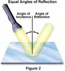 Analysing your experience of working on a group task. Molecular Expressions Microscopy Primer Light And Color Reflection Of Light