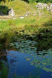 Der garten beherbergt auf einer fläche von nur 2.000 m² (mit gebäuden) ca. Botanischer Garten Chemnitz Wikipedia