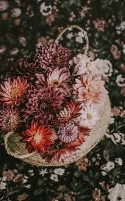 950x1534 Flower Basket Blossom Wallpaper Purple Flowers Wallpaper Pink Flowers Wallpaper Wallpaper Free Download